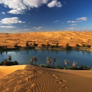 oasis-in-the-libyan-desert-wallpapers