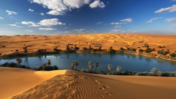 oasis-in-the-libyan-desert-wallpapers